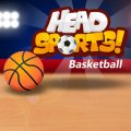 Head Sports Basketball